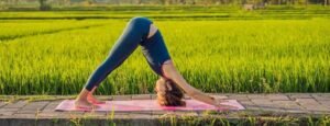 Best-Yoga-Teacher-Training_-Key-Questions-to-Ask-Before-You-Join