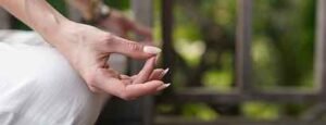 Top Yoga Training Programs: What Makes a Training Experience Truly Valuable?